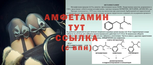 дживик Белокуриха